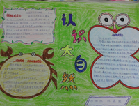 最全的《The Bible》好段摘抄