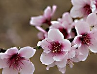 散句子大全