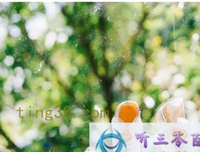 星光的优美句子