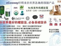罗伯特·清崎的名言_关于罗伯特·清崎的名言