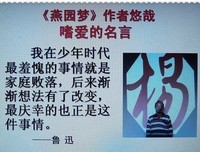 关于悠哉悠哉的格言