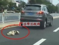 喜欢一个不喜欢自己的人 到底有多残忍