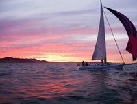 关于玩玩的格言