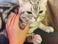 你 经历 过最尴尬的事