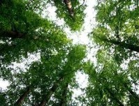 回忆是一种淡淡的痛读后感精选10篇