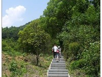 西山游