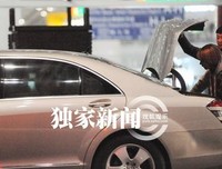 关于陈鲁豫的名句摘抄