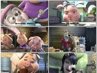《小猪妈仔》好看吗？经典观后感10篇