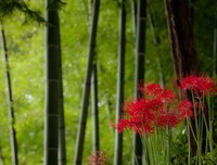 身边的江湖经典读后感10篇