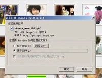 关于Z句集的句子