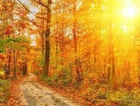 最新的《你能来，最好不过》语录摘抄大全