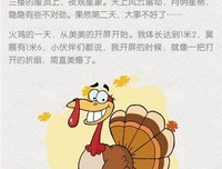 《野孩子的奇幻之旅》读后感10篇