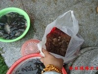 观音菩萨成道日，无量慈光护佑你！