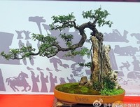 带你去云南