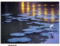 关于随心短句的句子