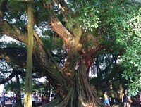 《道可道》影评精选10篇