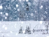 《同学录》的读后感10篇
