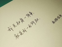 为了爱 淡淡的忧伤句子