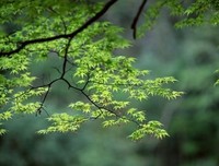 只有家再知道的事别她和说可去优美的句子