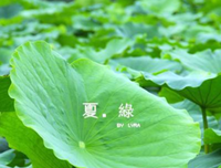 关于等一人心的优美句子