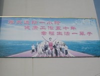 关于舍温·努兰的名言