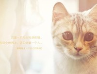 关于柏豪的唯美语录