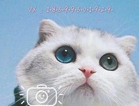 最美的年纪，刚好遇见你