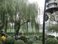 《柏卢曰》经典句子