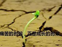 关于事业的句子