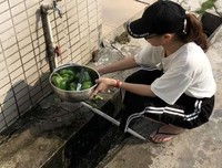 以我之力护你之胃