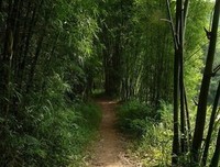 如果你家的孩子撒谎了，那应该怎么办