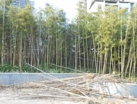 别平白无故抹煞我的所有