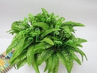 最新的叶小波名言