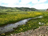 《阿尼瑪》经典读后感10篇