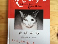 《爱猫奇洛》经典读后感10篇