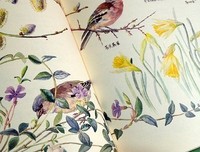 最新的《女校》小说摘抄