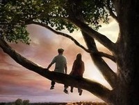 《梦里花落知多少》经典影评10篇