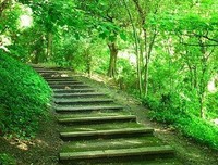 其实，谁也不是谁的永远