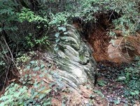 《天坑》的读后感10篇