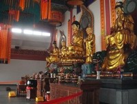 《转运》的读后感10篇