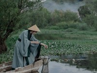 最美不过是你们