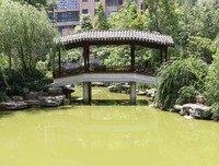 最全的银谷名人名言