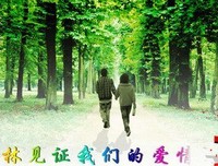 我们的爱情只有30个字