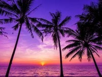 成长开多上、属于自已的一片起都外空优美的句子