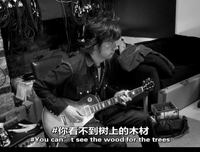 《石玫瑰再临》经典影评10篇