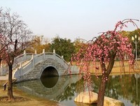 《春到南天》读后感精选10篇