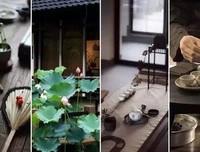 禅是一枝花经典读后感10篇
