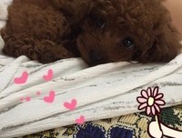 “我也喜欢你呀”