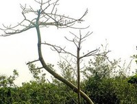 一起快乐“溯源”