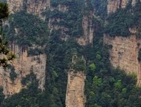 四步天梯法收回意义